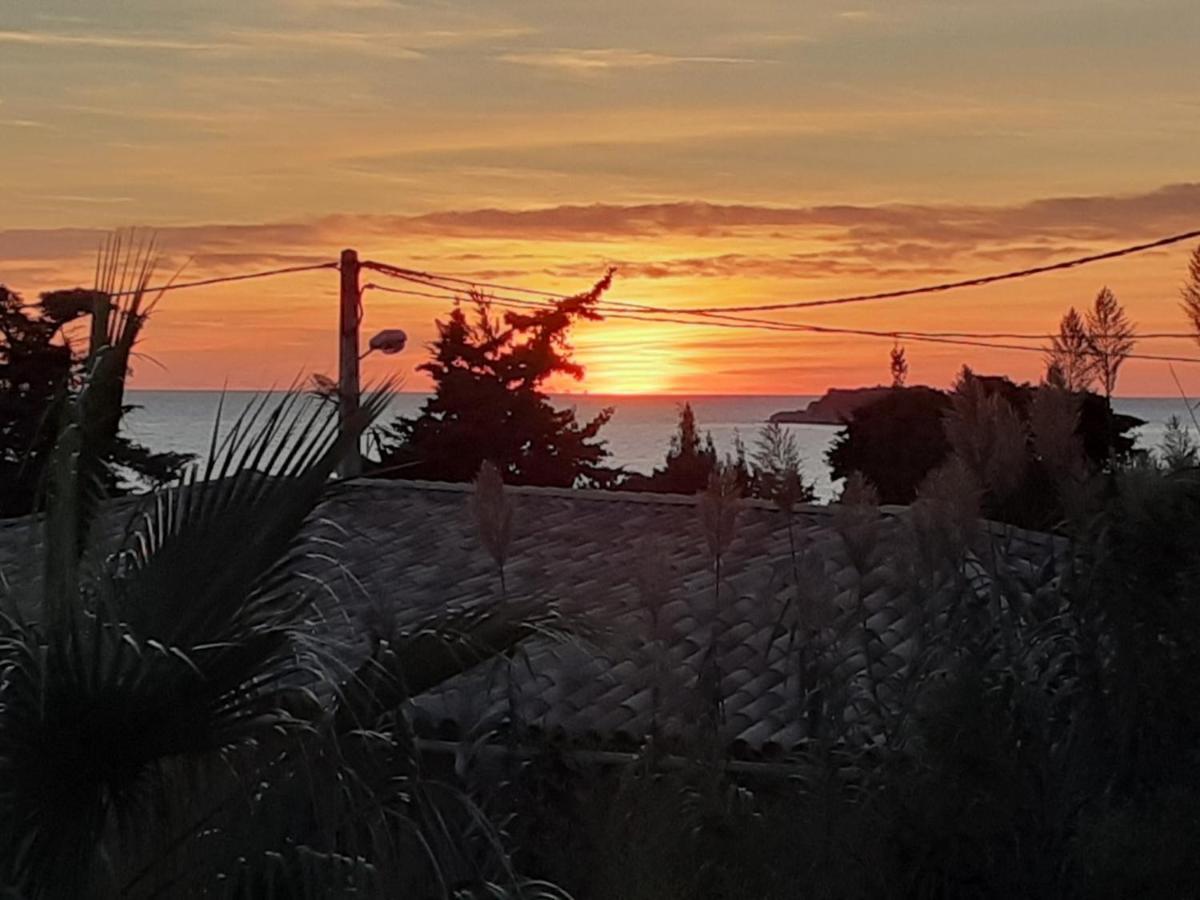 Appartement Terrasse Vue Mer, Plage Gorguette A 1 Minute A Pied, Wifi,Clim Parking Collectif Sanary-sur-Mer Exterior foto